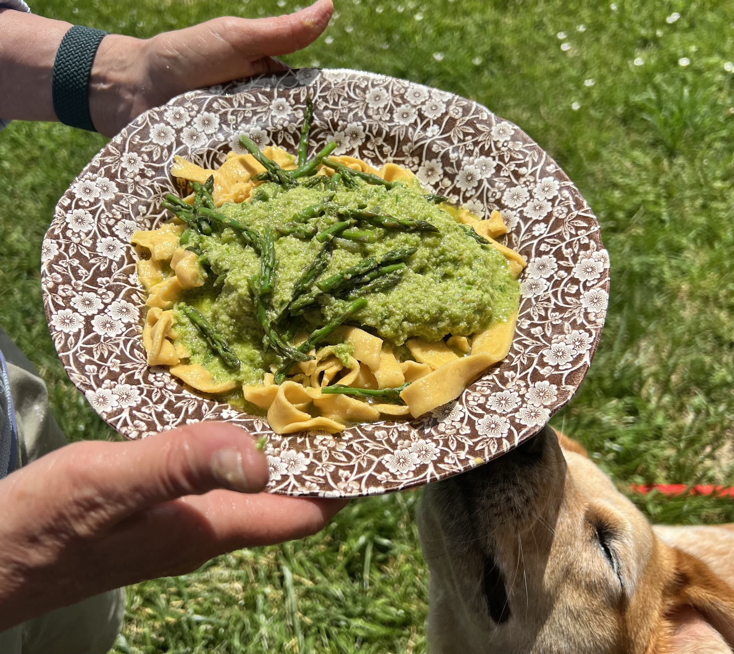 Asparagus Pesto with Scapes and Chickpea Pasta – Fresh, Easy Delicious