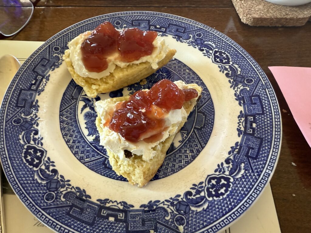 Fruit Scones